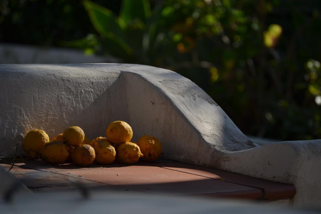 Schicciolina Stromboli Exterior foto