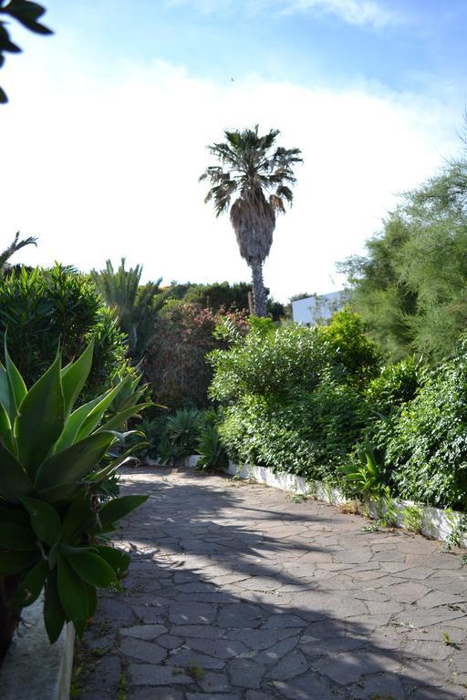Schicciolina Stromboli Exterior foto